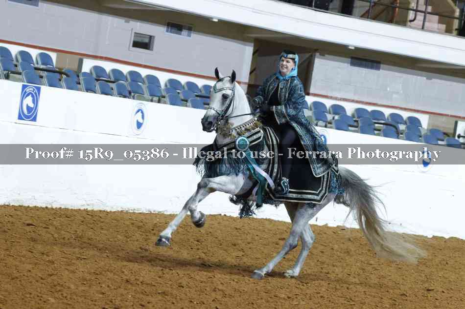 Proof Number 15R9_05386