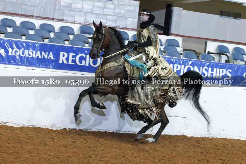 Proof Number 15R9_05396