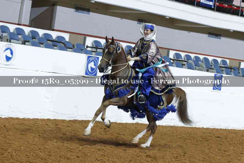 Proof Number 15R9_05399