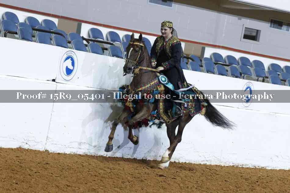 Proof Number 15R9_05401