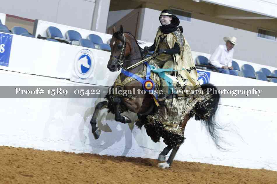 Proof Number 15R9_05422