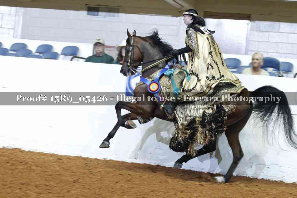 Proof Number 15R9_05426