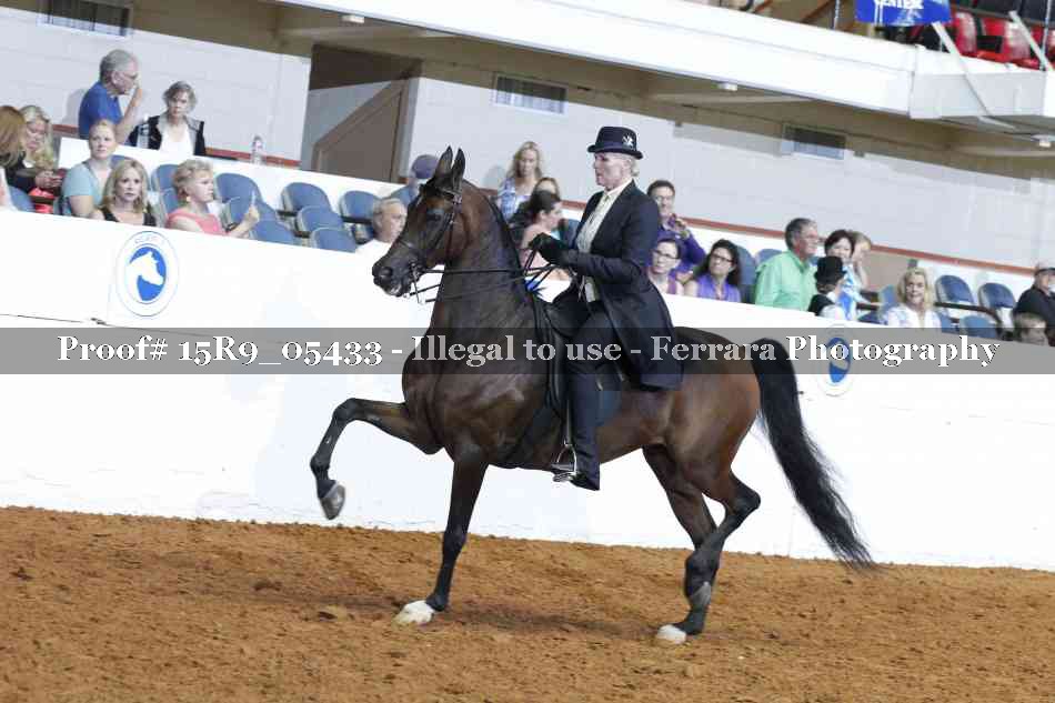 Proof Number 15R9_05433