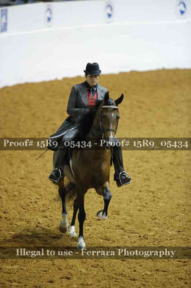 Proof Number 15R9_05434