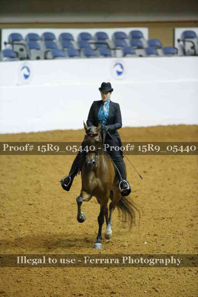 Proof Number 15R9_05440