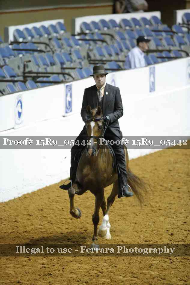 Proof Number 15R9_05442