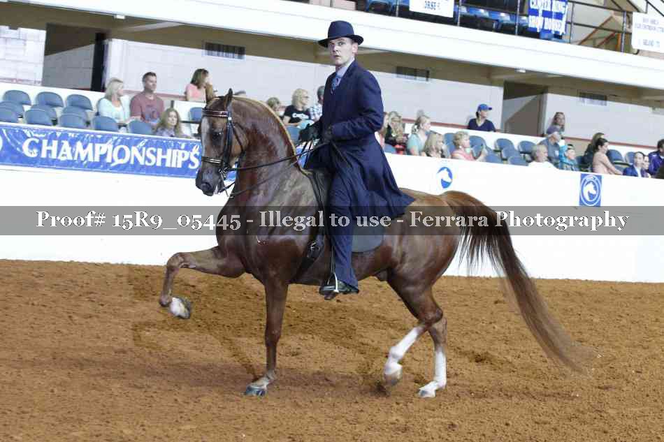 Proof Number 15R9_05445