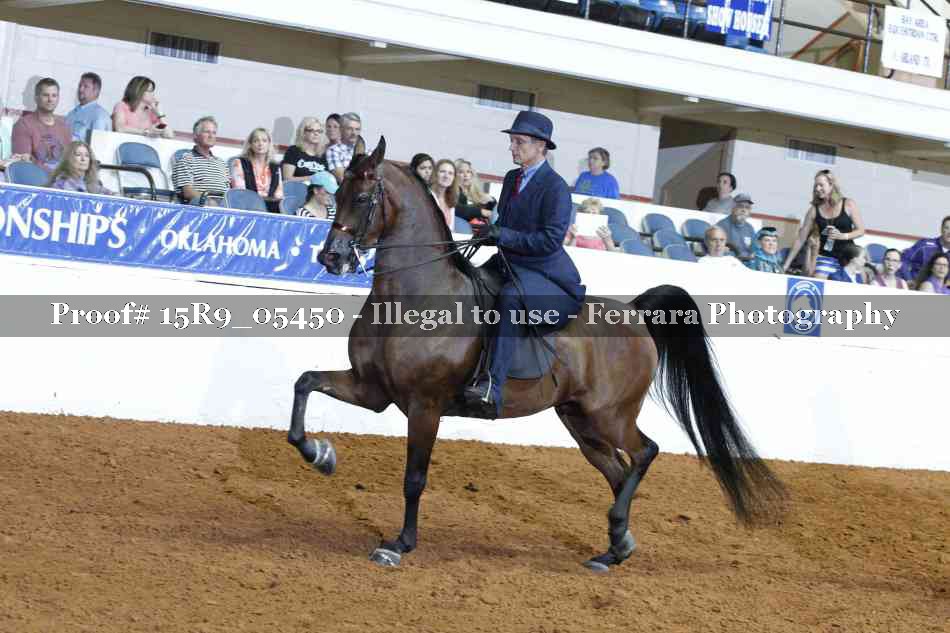 Proof Number 15R9_05450