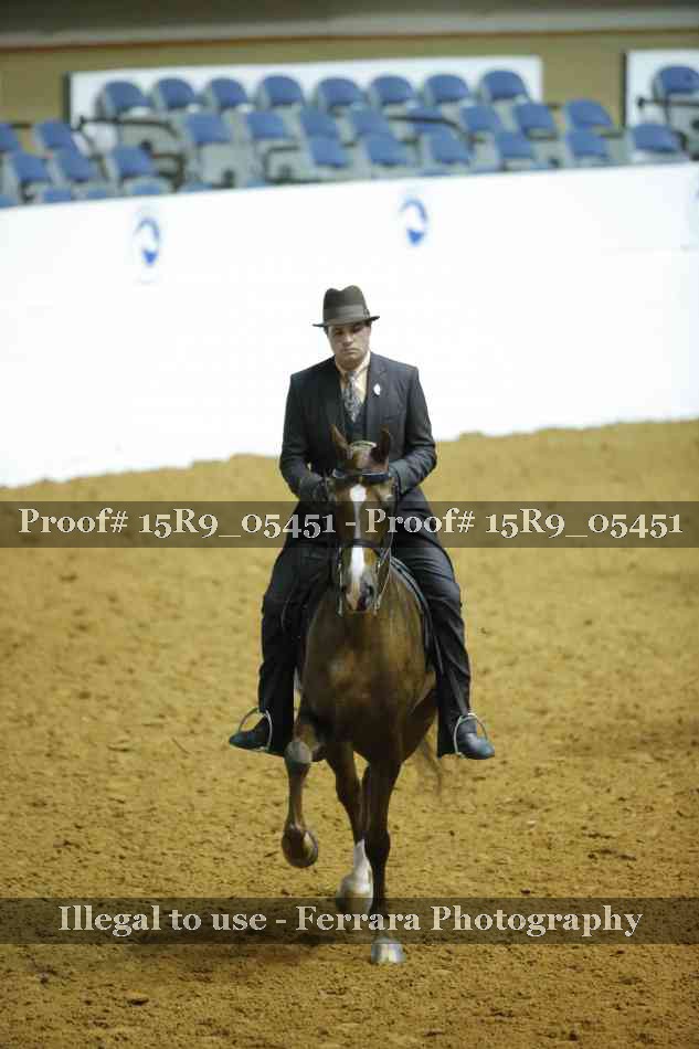 Proof Number 15R9_05451
