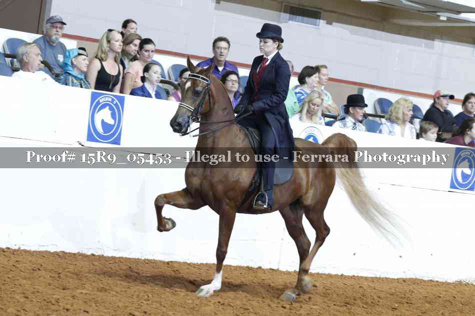 Proof Number 15R9_05453