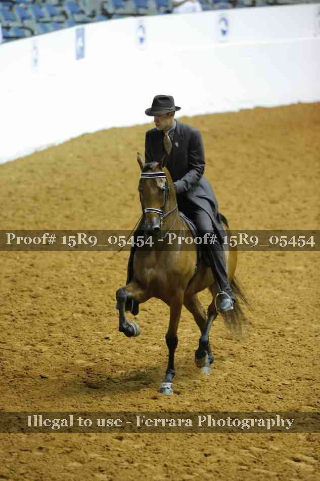 Proof Number 15R9_05454