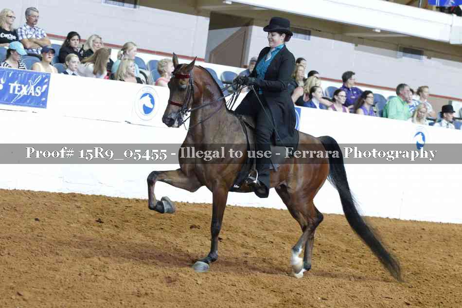 Proof Number 15R9_05455