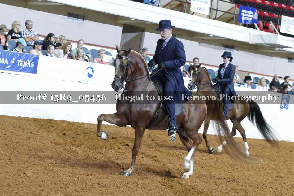 Proof Number 15R9_05456