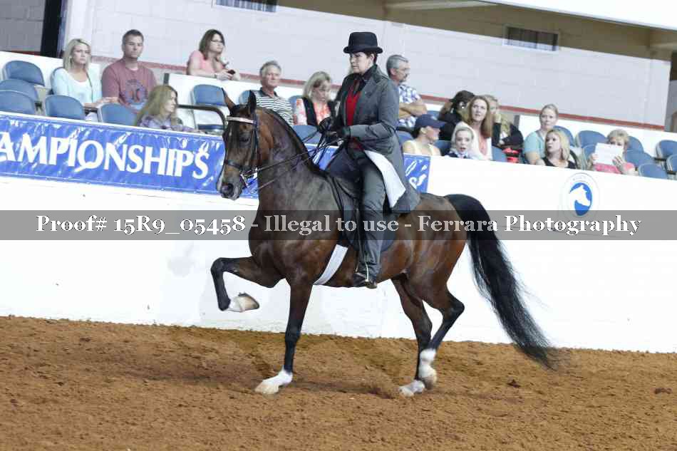 Proof Number 15R9_05458