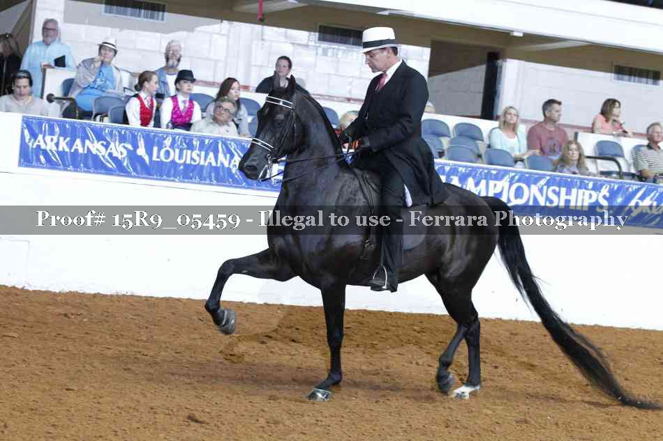 Proof Number 15R9_05459
