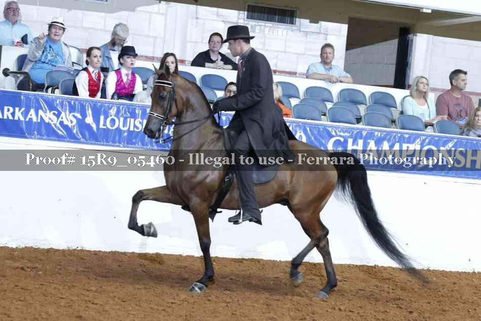 Proof Number 15R9_05460