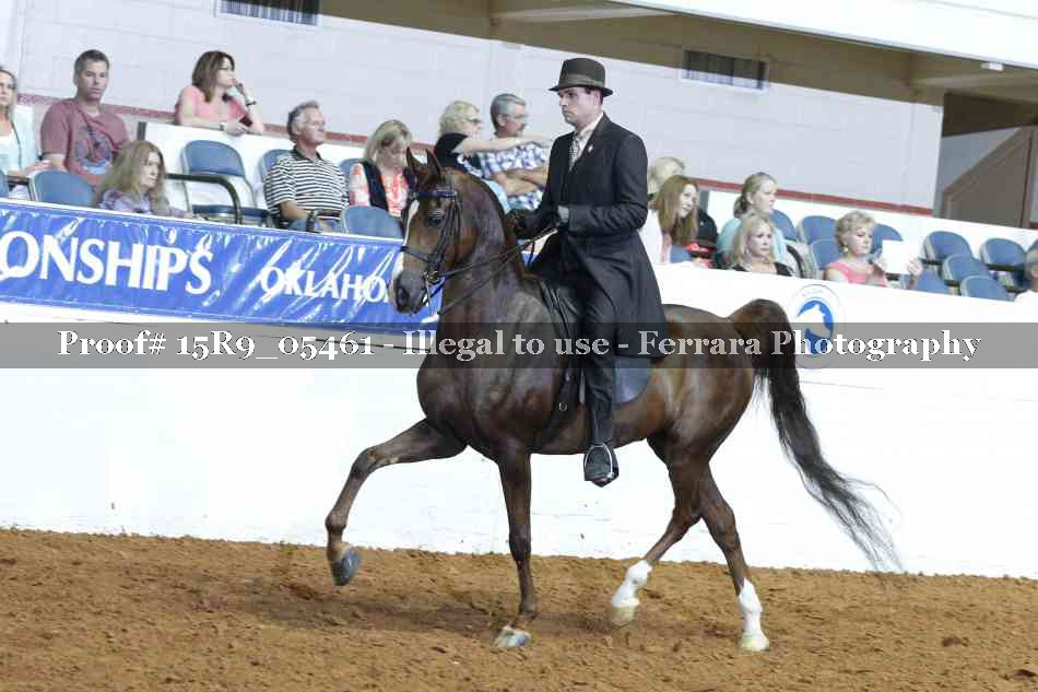 Proof Number 15R9_05461