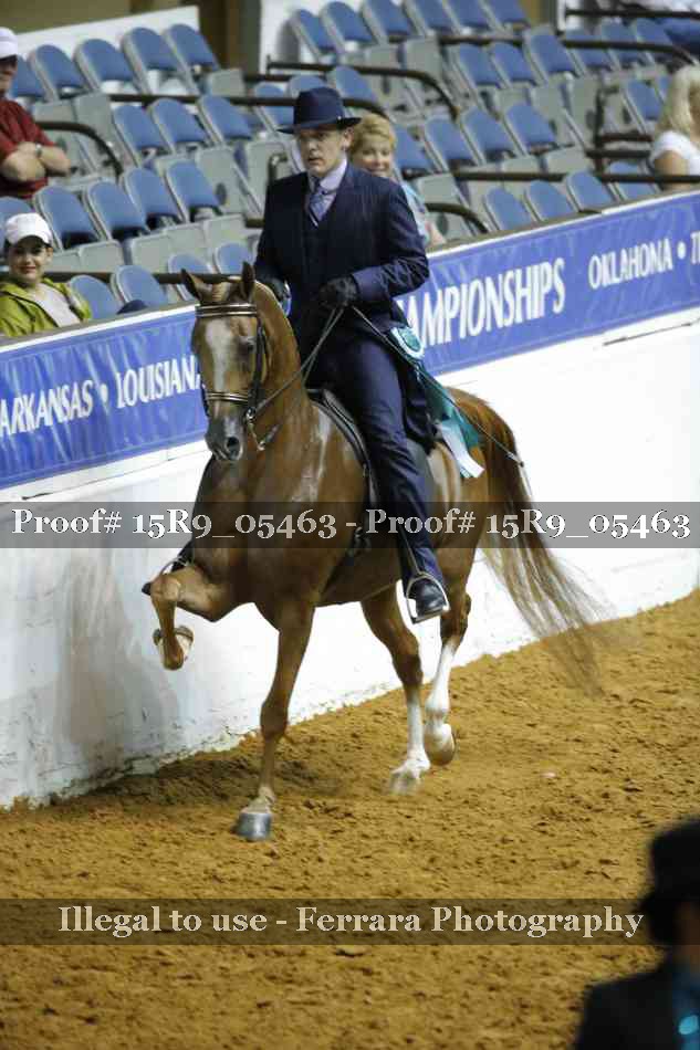 Proof Number 15R9_05463