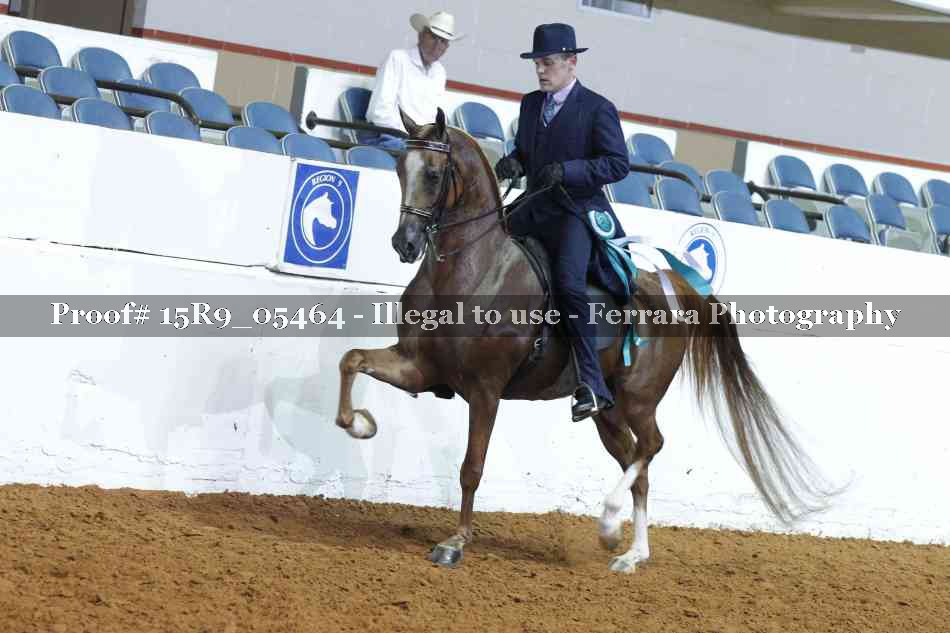 Proof Number 15R9_05464