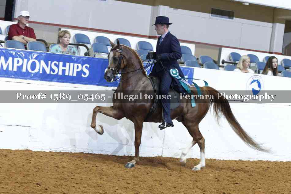 Proof Number 15R9_05465
