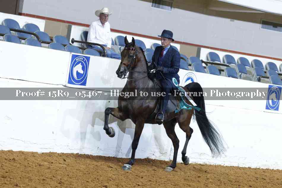 Proof Number 15R9_05467