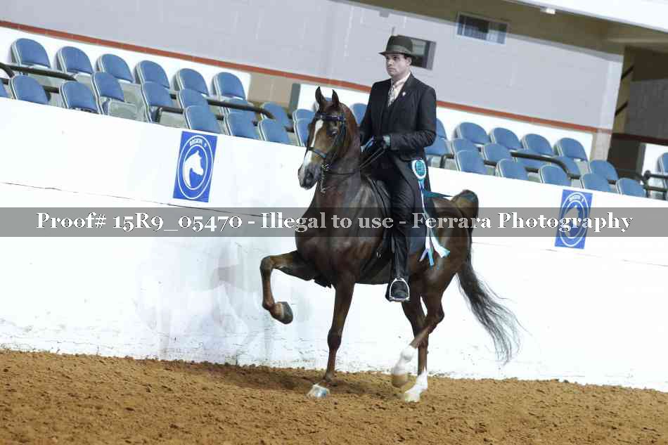 Proof Number 15R9_05470