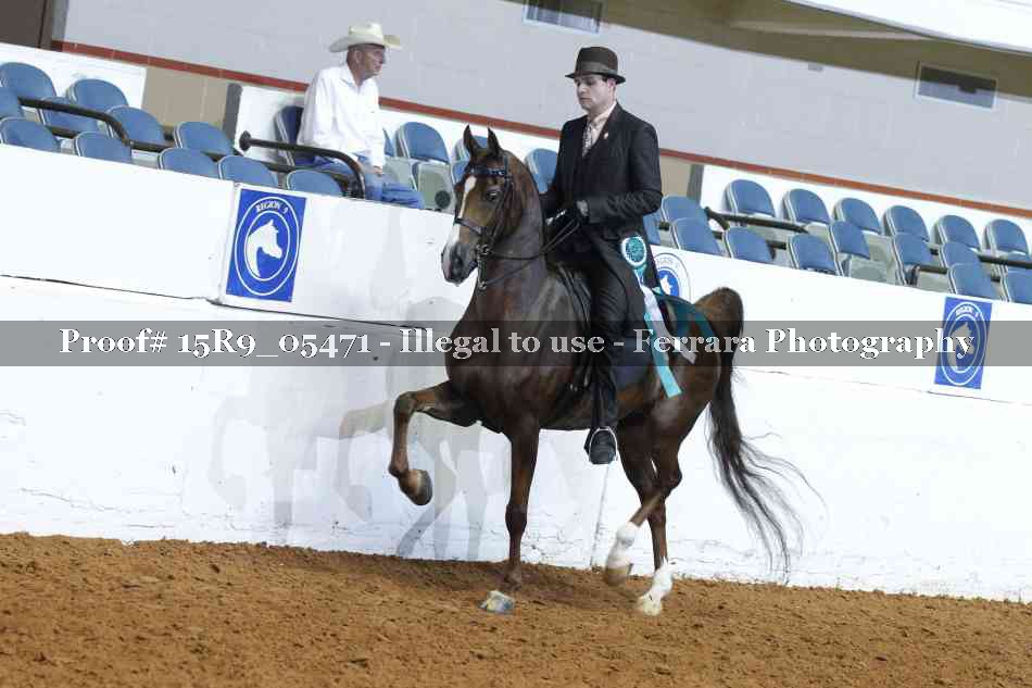 Proof Number 15R9_05471