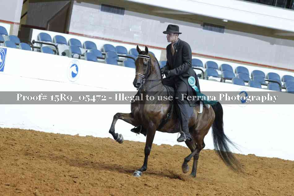 Proof Number 15R9_05472