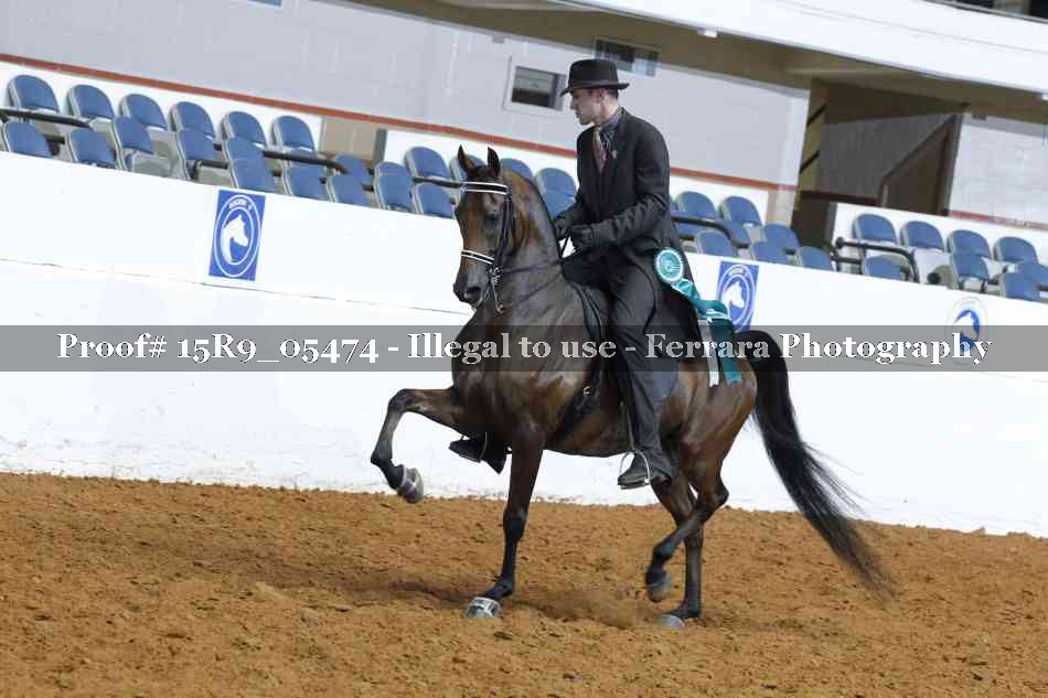 Proof Number 15R9_05474