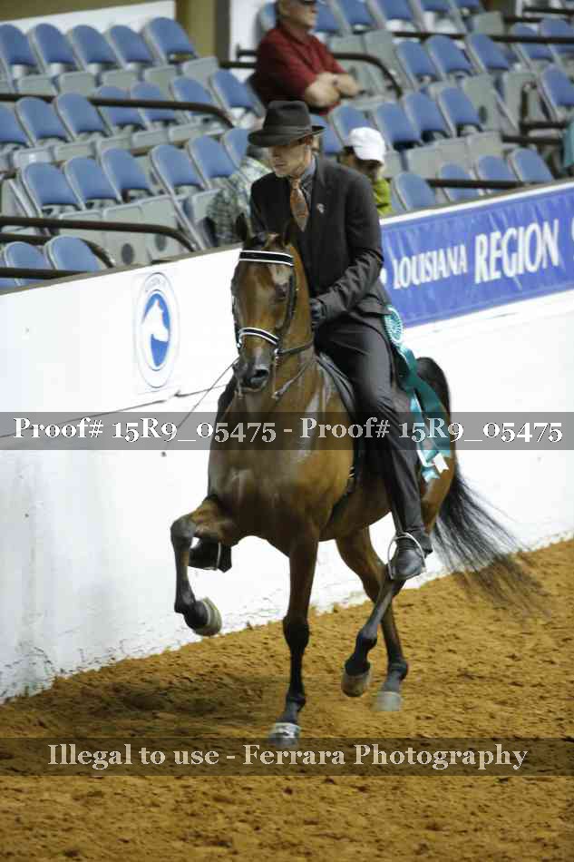 Proof Number 15R9_05475