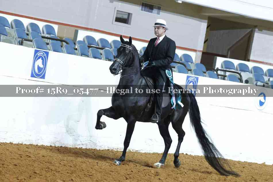 Proof Number 15R9_05477