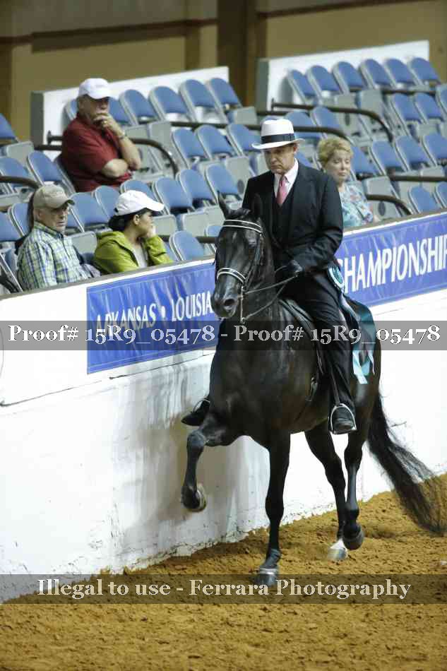 Proof Number 15R9_05478