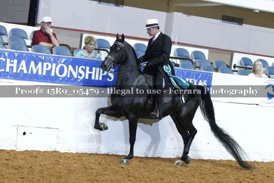 Proof Number 15R9_05479