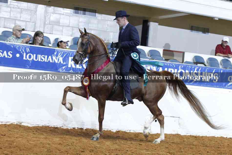 Proof Number 15R9_05487
