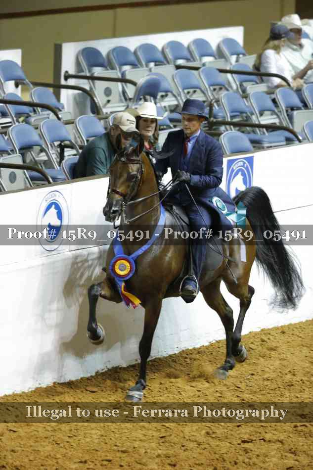 Proof Number 15R9_05491