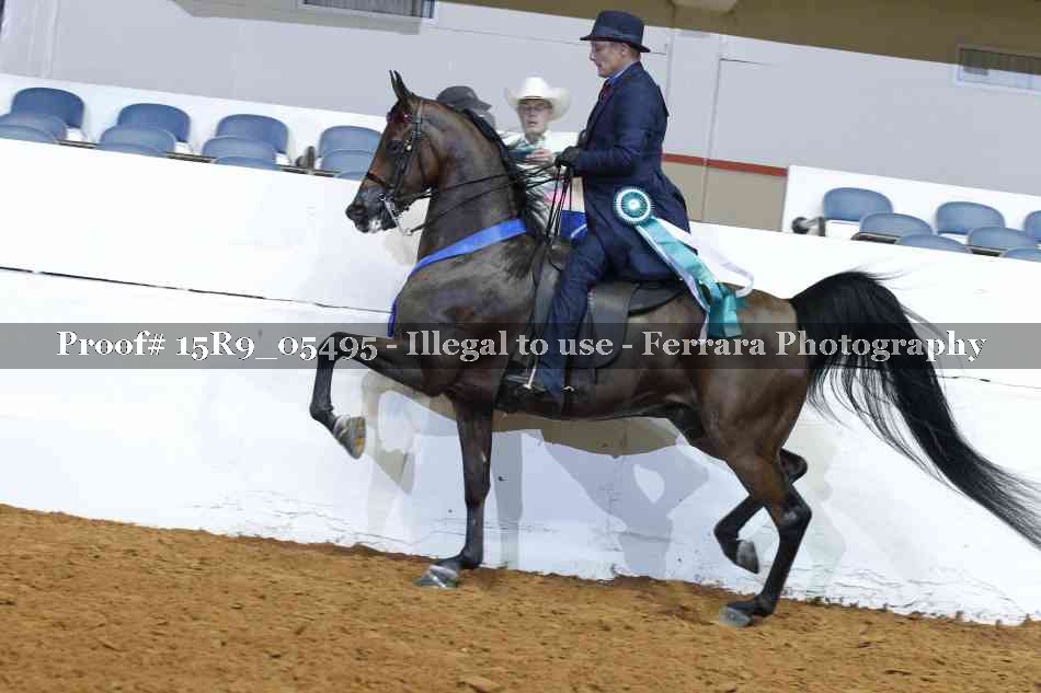 Proof Number 15R9_05495
