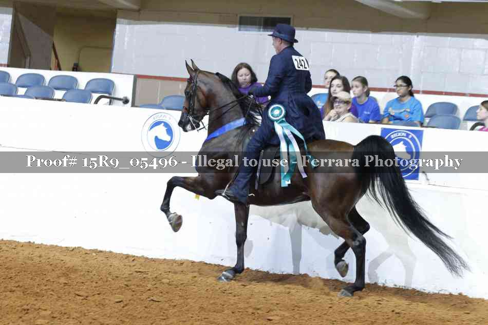 Proof Number 15R9_05496