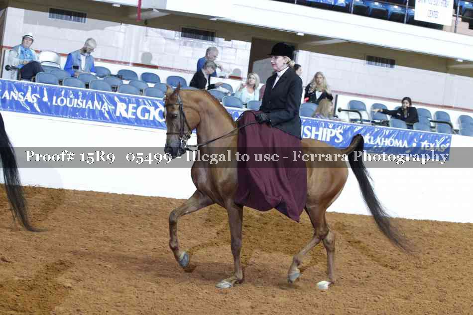 Proof Number 15R9_05499