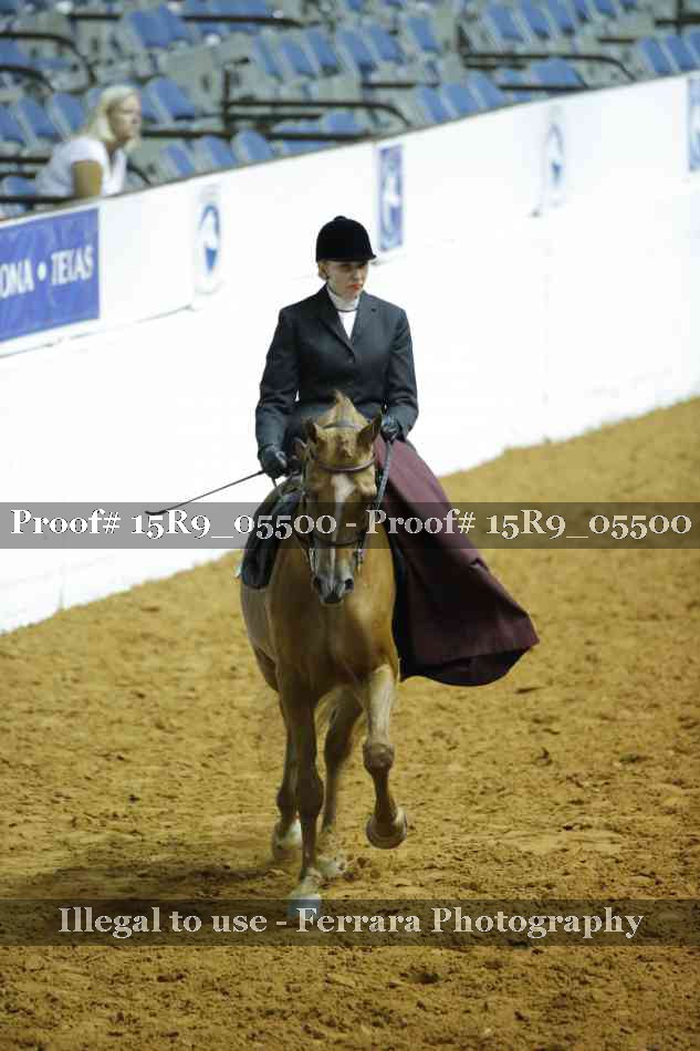 Proof Number 15R9_05500