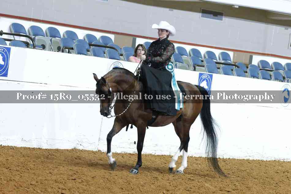 Proof Number 15R9_05532
