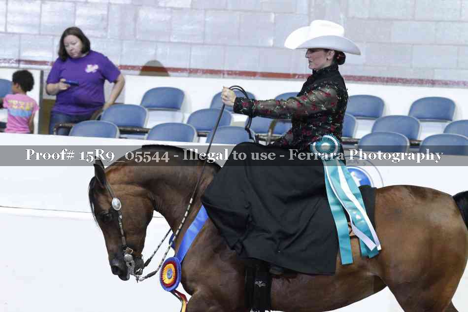 Proof Number 15R9_05544