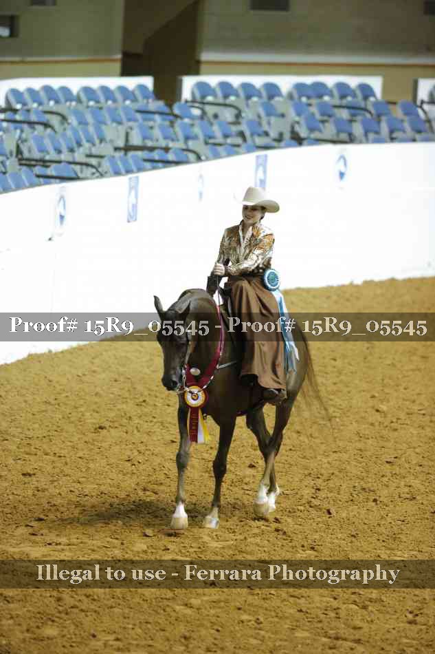 Proof Number 15R9_05545