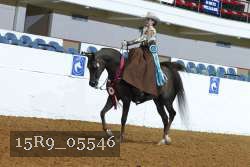 15R9_05546 thumbnail