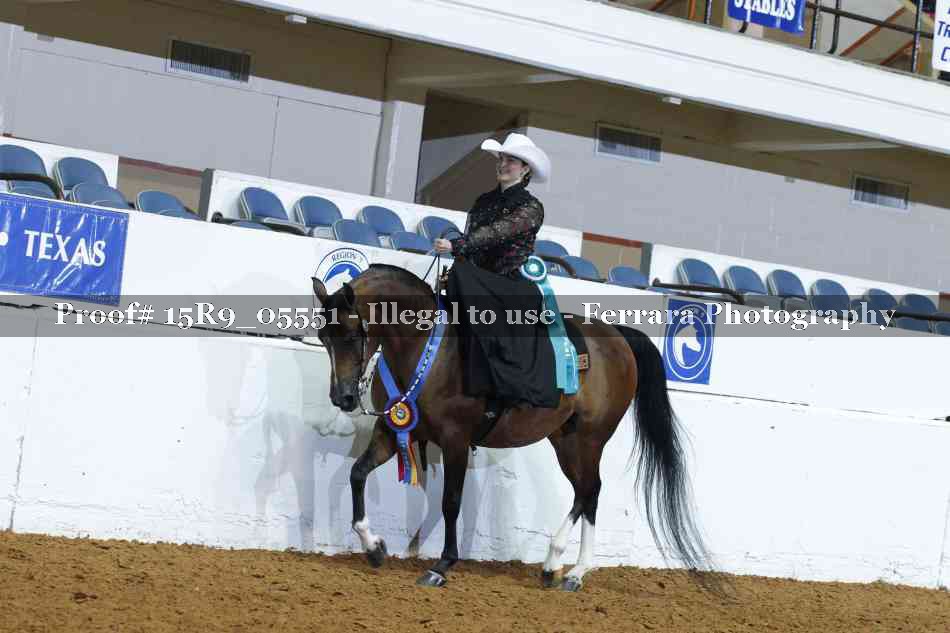 Proof Number 15R9_05551