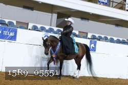 15R9_05551 thumbnail