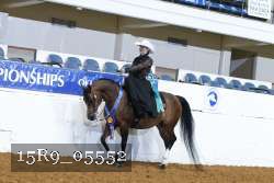 15R9_05552 thumbnail