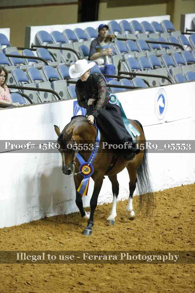 Proof Number 15R9_05553