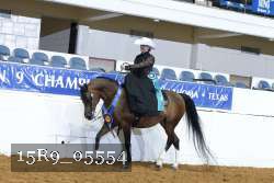15R9_05554 thumbnail