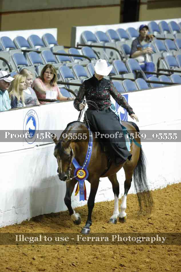 Proof Number 15R9_05555