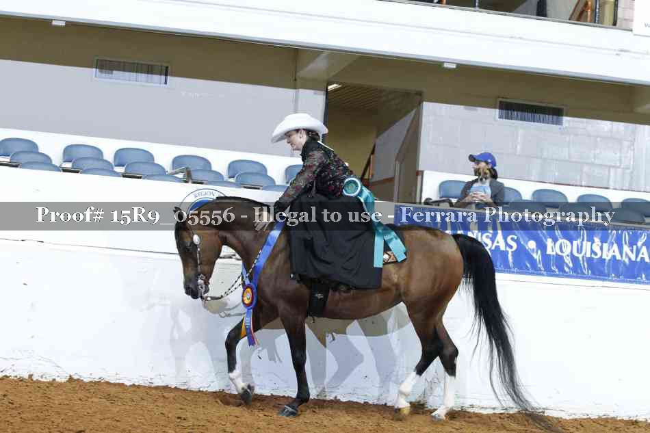 Proof Number 15R9_05556